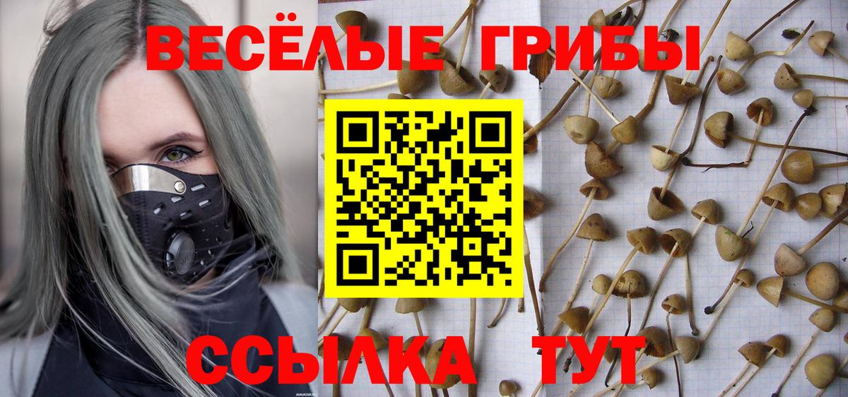 Псилоцибиновые грибы Psilocybe Каспийск