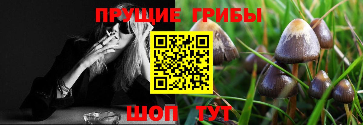Галлюциногенные грибы мухоморы  Вход с VPN  даркнет сайт  Каспийск 
